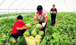 临夏吃瓜爆料最新事件,最新事件引发热议，真相究竟如何？”